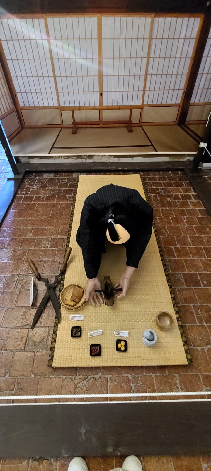 WhatsApp-Image-2025-08-25-a-19.37.29_cd2ae38c En avant vers l'exposition Shinobi